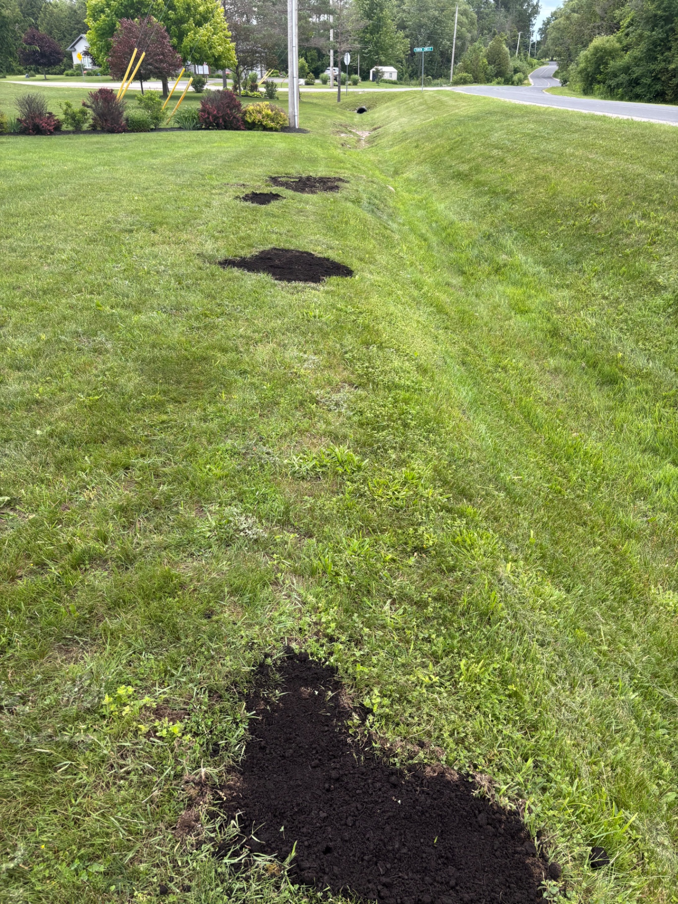 Completed lawn repair project by Muckle Property Services in Ottawa West.